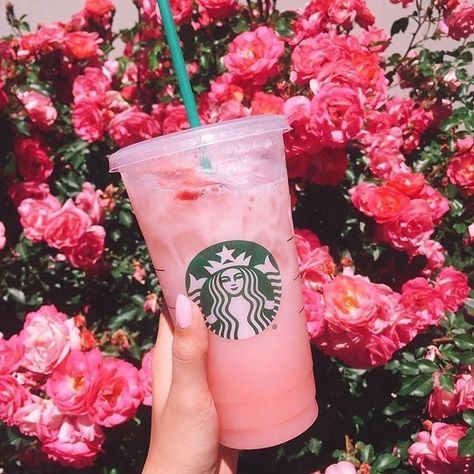 Starbucks Drink, Pink Drink, Pink Starbucks, We Heart It, Lost, Flowers, Green, Pink