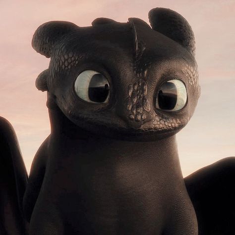 Toothless, A Dragon, Black