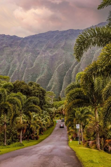 Oahu Bucket List: 46 of the Best Things to do in Oahu | Ho'omaluhia Botanical Gardens #simplywander #oahu #hawaii Hawaii Vibes, Oahu Vacation, Hawaii Aesthetic, Turtle Bay Resort, Vacations In The Us, Moving To Hawaii, Hawaii Pictures, University Of Hawaii, Hawaii Trip