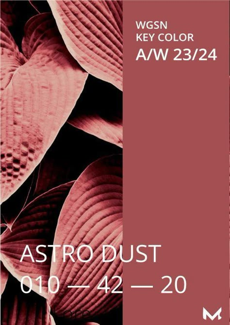 WGSN & Coloro Color A/W 23/24 - Astro Dust | Color forecasting, Color trends fashion, Color Astro Dust Color, Astro Dust, Aw 2023, Mars Red, Aw 23, Colour Trend, Color Forecasting, Fashion Trend Forecast, Trend 2023