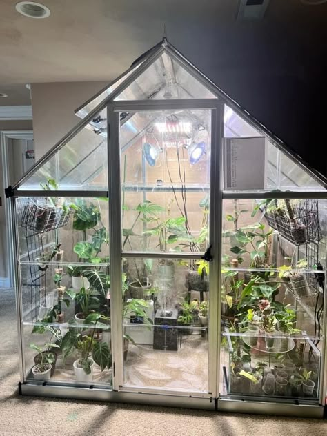 Indoor Greenhouse Room Sunrooms, Glass Plant Room In House, Bedroom Greenhouse, Indoor Greenhouse Aesthetic, Green House Indoor, Indoor Greenhouse Room Plant, Indoor Green House Ideas, Greenhouse Indoor, Indoor Bog Garden