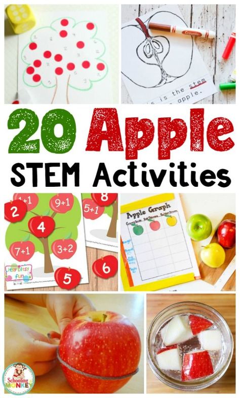 Looking for creative STEM activities? These apple STEM activities teach STEM skills while celebrating apples! Perfect for kindergarten STEM activities. #appleactivities #kidsactivities #thematicunit #stemactivities Apple Stem Activities, Kindergarten Stem Activities, Apple Tree Life Cycle, Fall Stem Activities, Stem Activities Kindergarten, Kids Stem Activities, Stem Activities For Kids, Kindergarten Stem, Apple Preschool