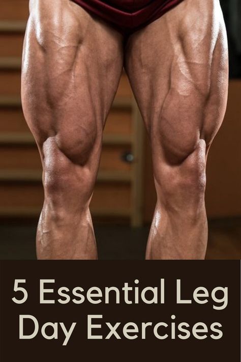 These Essential Leg Day Exercises Will Help to Maximize Your Lower Body Training Leg Excersizes For Men, Leg Day Workout At The Gym Men, Men’s Leg Workout, Legs Workouts For Men, Men Leg Workout, Lower Body Workout For Men, Heavy Leg Day Workout, Leg Workout Men, Leg Muscle Workout