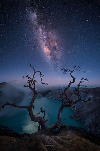 "Space In-Between" by Win Mag #fstoppers #Astrophotography #milkyway #kawahijen #indonesia #tree #crater #volcano #Summit World At Night From Space, Night Sky Forest, Milky Way Landscape, Milky Way Galaxy From Earth, Stars Landscape Night Skies, Art Spatial, Ancient Tree, Before Sunrise, Lombok