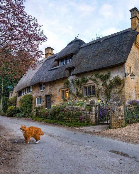 Gloucestershire England, Thatch Roof, English Cottages, Casa Country, Thatched Cottage, Beautiful Cottages, Dream Cottage, Thatched Roof, England And Scotland