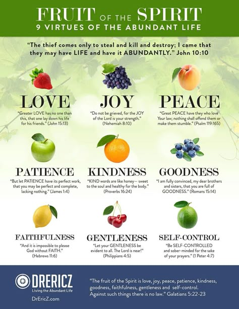 The Fruit Of The Spirit, John 10 10, Love Joy Peace, Spirit Quotes, Bible Study Verses, Bible Lessons For Kids, Fruit Of The Spirit, Bible Knowledge, Bible Prayers