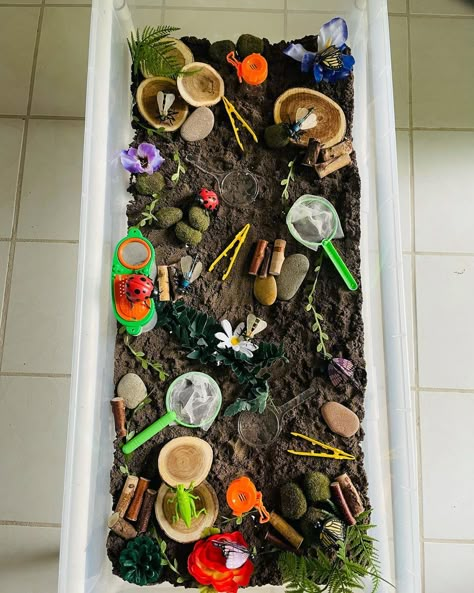 Bug Provocations Preschool, Bug Activities Preschool, Provocations Preschool, Bug Sensory Bin, Small World Play Ideas, Minibeasts Eyfs, Nature Based Classroom, Bug Activities, Bugs Preschool