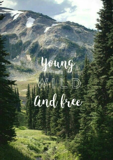 young, wild, & free Travel Quotes Wallpaper, Young Quotes, Travel Quotes Adventure, Travel Wallpaper, Wallpaper Iphone Quotes, Wild Free, Life Thoughts, Adventure Quotes, Nature Quotes