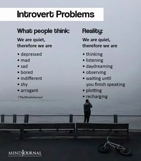 Introvert Vs Extrovert, Introvert Love, Introvert Personality, Introvert Problems, Introvert Quotes, Introverts Unite, Introvert Humor, Extroverted Introvert, Infj Personality