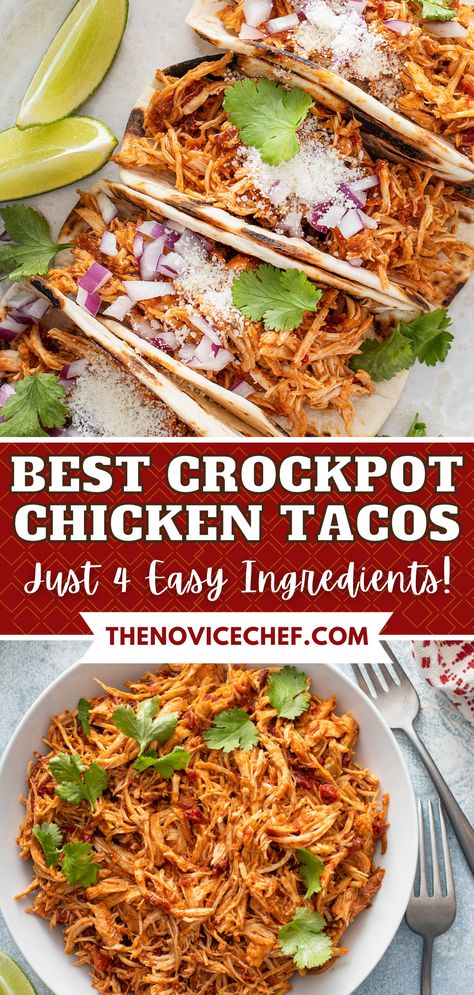 Make your Taco Tuesday even better, with this ultra-easy, super-flavorful recipe for Crockpot Chicken Tacos. Tender shredded chicken is seasoned to perfection and slow-cooked for the best taco filling ever! Chicken Crock Pot Tacos Slow Cooker, Rotel Chicken Tacos Crockpot, Cheesy Chicken Tacos Crockpot, Chicken Taco Meat In Crockpot, Chicken Taco Crockpot Recipes Easy, Crockpot Chicken Tacos From Frozen, Crockpot Chicken Recipes Tacos, Slow Cooker Shredded Chicken For Tacos, Chicken Soft Tacos Crockpot