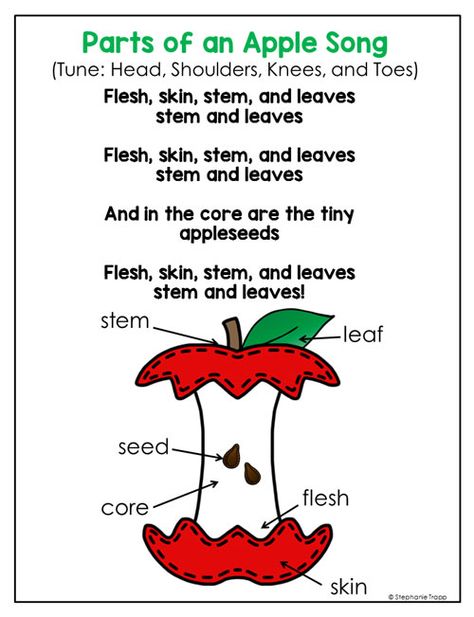 Parts of an Apple Song:: Apple Unit for Kindergarten and First Grade Songs About Apples For Preschoolers, Life Cycle Of A Apple Preschool, Apples Can Have Are Chart, Parts Of An Apple Anchor Chart, 10 Apples On Top Preschool, Apple Cycle Preschool, Apple Kindergarten Unit, Apple Activities For 2nd Grade, Apple Anchor Chart Kindergarten