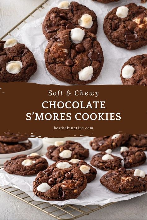 Indulge in the ultimate treat with Chocolate S'mores Cookies! 🍫🔥 Gooey marshmallows, crunchy graham crackers, and luscious chocolate come together in one irresistible cookie. It's a delicious twist on the classic American favorite that will leave you craving more. Get ready to satisfy your sweet tooth! #ChocolateSmoreCookies #DeliciousTwist #SweetIndulgence 🍪🤤 Chocolate S’more Cookies, S’mores Chocolate Cookie, Chocolate Smores Cookies Recipes, Insomnia Smores Cookies Recipe, Double Chocolate Smores Cookies, Chocolate S’mores Cookies, Cookie Recipes Smores, S’more Chocolate Chip Cookies Easy, S'more Cookies