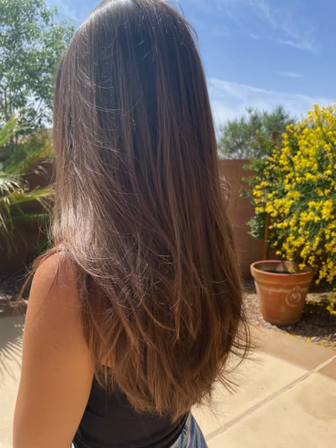 Layered Hair On Straight Hair, Layers For Long Hair Brown, Haircut Inspo Long Straight, Long Brown Hair With Long Layers, Long Hair Haircut Ideas Straight, Long Layers On Brown Hair, Layers On Straight Hair Long, Simple Layers For Long Hair, Hair Cut Straight Hair Girl