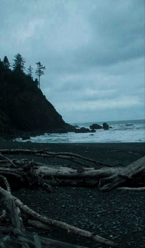 La Push Aesthetic Twilight, Twilight Landscape Movie, Washington Forks Aesthetic, Shelby Core Aesthetic, Jordancore Aesthetic, Coastline Aesthetic, Forks Washington Twilight Aesthetic, Twilight Aesthetic Wallpaper, Forks Washington Twilight