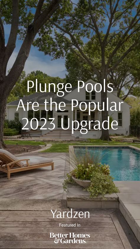 Small Modern Backyard With Pool, Plunge Pools Backyard, Plung Pools Small Backyards, Alternative Pool Ideas, Outdoor Small Pool Ideas, Small Cocktail Pool Ideas, Small Swimming Pools Backyard Budget, Backyard Plunge Pool Small Spaces, Modpool Backyard