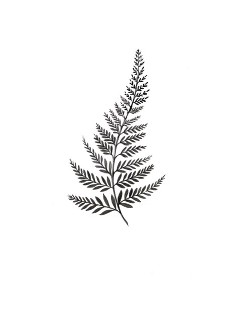 Ferns Tattoo Design, Small Fern Drawing, Foliage Tattoo Men, Small Fern Leaf Tattoo, Fern Ankle Wrap Tattoo, Wrap Around Fern Tattoo, Small Fern Tattoo Simple, Fern Tattoo Stencil, Fern Leaf Tattoo Design