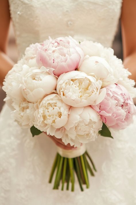 These 39 wedding bouquets with peonies are a must-see for brides who love lush, full arrangements. From elegant to rustic, these peony bouquets are designed to suit every wedding style. Click to get inspired! #peonyinspiration #weddingflorals #bridalbouquet Orchid And Peonies Wedding Bouquet, Peony Wedding Theme, Wedding Spring Bouquets, Bridal Bouquet Tulips And Roses, Wedding Bouquet Hortensia, Pink Peony Boutonniere, Wedding Flower Peonies, Pink Peony Wedding Flowers, Bouquet Of Flowers Fall