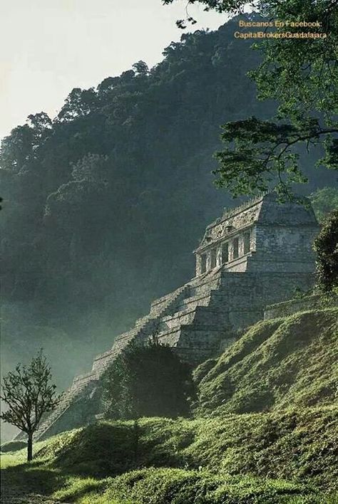 Palenque Chiapas Mayan Civilization, Beautiful Ruins, Adventure Ideas, What A Beautiful World, Ancient Ruins, Ancient Civilizations, The Temple, Countries Of The World, Latin America