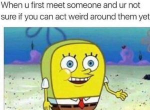 Right Meme, Witty Memes, Talking To Someone, Grammar Humor, Introverts Unite, Spongebob Funny, Food And Recipes, Socially Awkward, Spongebob Memes