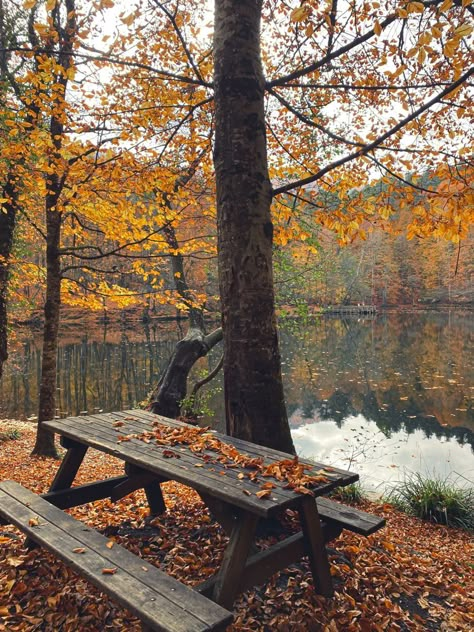 Autumn By The Lake, Fall By The Lake, Cottage Fall Aesthetic, Autumn Cabin Aesthetic, Autumn Lake Aesthetic, Fall Romance Aesthetic, Hello November Aesthetic, Maine Autumn, Fall Lake