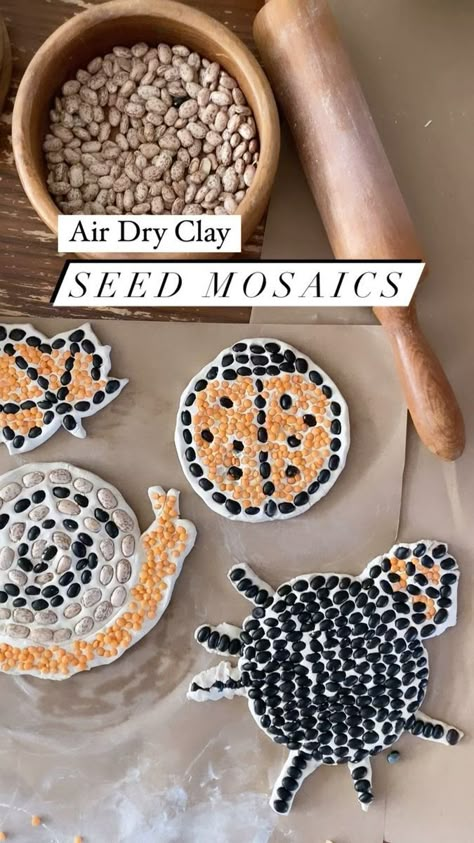 Air dry clay seed mosaics ✨ We needed a little something to spruce up the garden as it makes its transition into fall and these were just the thing ✨ For this you’ll need air dry clay, some old seeds and beans or remnants of whatever you have sitting around in your pantry (we used very old or expired dry goods). Roll out the clay with a rolling pin and cut out a circle with a biscuit cutter or cookie cutter. You’ll want it rather thick so it doesn’t break easily. Push beans and seeds down into Clay Preschool Activities, Seed Mosaic For Kids, Bean Mosaic Art For Kids, Air Dry Clay Toddler Craft, Air Dry Clay Crafts For Kids, Air Dry Clay Mosaic, Kids Air Dry Clay Projects, Fall Air Dry Clay Projects, Air Dry Clay Projects For Kids