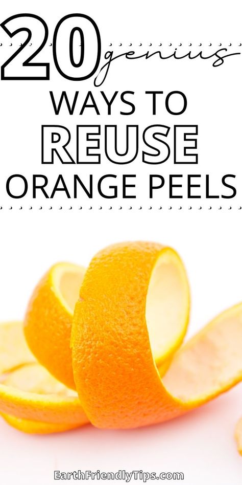 You already know oranges are a sweet treat that are great for your health. But did you also know there are a variety of awesome ways you can reuse orange peels? Before you throw away those peels, be sure to check out this list of 20 genius ways to reuse orange peels. You'll find plenty of incredible ways to use orange peels around the house so you don't have to throw the away. Check out these amazing ways to reuse orange peels today! eco-friendly|zero waste|reuse|ways to reuse orange peels Boil Orange Peels, Orange Peel Benefits, Orange Peels Uses, Orange Peel Powder, Powder For Face, Orange Peels, Drinking Hot Water, Drinking Lemon Water, Lemon Water Benefits