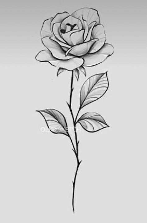 Pin by Teddy on Tattoo | Rose drawing tattoo, Rose flower tattoos, Single rose tattoos Rose With Stem Drawing, Rose With Stem Tattoo, Rose Stem Tattoo, Stem Tattoo, Rose With Stem, Rose Tattoo Stencil, Single Rose Tattoos, 42 Tattoo, Rose Line Art