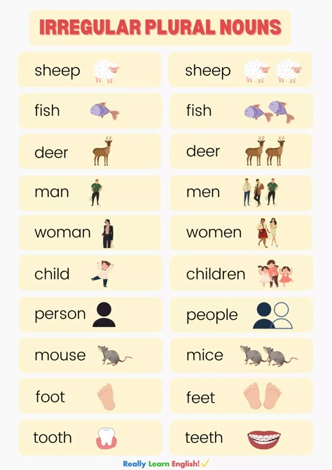 Irregular Nouns Worksheets, Plurals Activities, Hindi Singular Plural Worksheet, English Plurals Worksheets, Regular And Irregular Nouns, Singular Plural Worksheets, Singular And Plural Nouns Worksheet, Irregular Plurals Worksheet, Irregular Singular And Plural Nouns