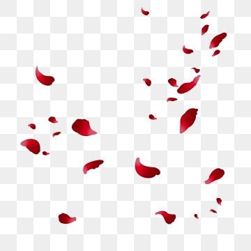 Rose Petals Tattoo Design, Falling Petals Drawing, Rose Petal Tattoo, Rose Petals Drawing, Wedding Clipart Free, Beastars Fanart, Rose Petals Falling, Petals Falling, Valentines Day Border