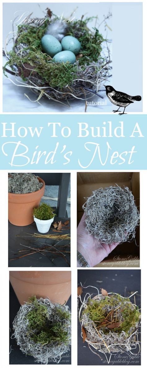 Nest Diy, Bird Nest Craft, Diy Frühling, Birds Nests, Bird Nests, Deco Nature, Spring Birds, Spring Decorations, Bird Crafts