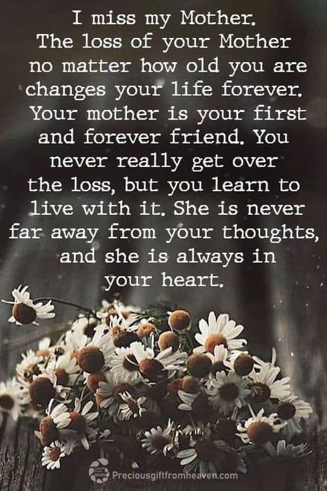 💕In to my feelings today, on the 10th will be my moms heavenly birthday, and now that I realize what she went through and always still done her best, that no matter what she loved her girls, her family, and her grandchildren. She had me while still in high school, she was scared, didn’t know how to raise a baby, just when she was going to choose to let another couple adopt me after I was born, God, knew what he was doing, instead my grandfather( Dad) said No, I was staying in the family, so m... Miss My Mom Quotes, Missing Mom Quotes, My Mom In Heaven, Mum In Heaven, Mom In Heaven Quotes, Miss You Mom Quotes, Mom I Miss You, Heavenly Birthday, In Loving Memory Quotes