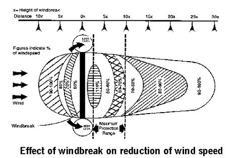 Wind Break Diagram Landscape Development, Fence Illustration, Fence Drawing, Fence Colours, Fence Modern, Timber Fence, Short Fence, Balcony Fence, Low Fence