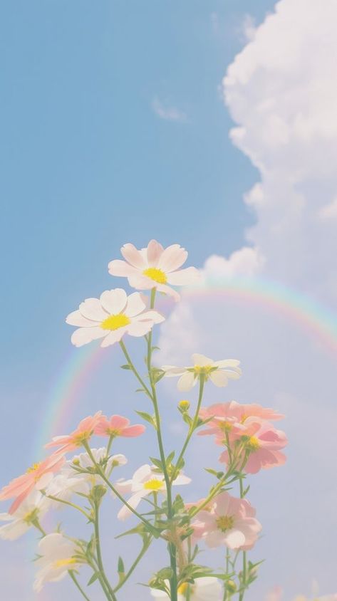 Aesthetic flower and rainbow pastel on large pink blue sky landscape wallpaper outdoors nature summer. | premium image by rawpixel.com Cute Blue And Pink Wallpapers, Daisies Wallpaper Aesthetic, Aesthetic Flowers Wallpaper Pastel, Iphone Home Screen Wallpaper Simple, Pastel Asthetics Photos, Sky Blue Aesthetic Wallpaper Iphone, Aethestic Pastel, Wallpapers Flowers Nature, Ios Aesthetic Ideas