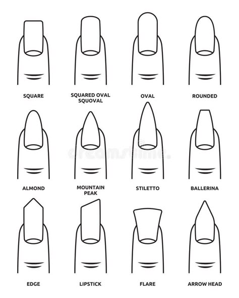 Different nail shapes - Fingernails fashion Trends vector illustration Printable Nail Art Templates, Nail Art Practice Sheet, Printable Nail Art Practice Sheet, Nail Shape Chart, Types Of Nails Shapes, Nail Tech Quotes, Printable Nail Art, Nail Tech School, Tech Quotes