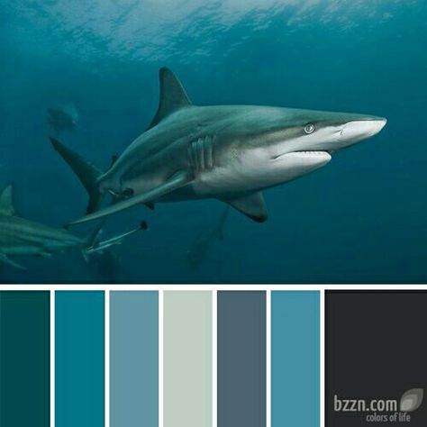 Shark Theme Room, Mermaid Webtoon, Sea Kids Room, Shark Bedroom, Shark Room, Fish Bathroom, Aqua Design, Shark Design, Boy Bedroom Design