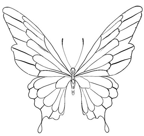 Butterfly Stencil Templates, Butterfly Wings Design, Butterfly Drawing Outline, Butterfly Outline, Art Papillon, Butterfly Stencil, Butterfly Art Painting, Butterfly Template, Pola Sulam