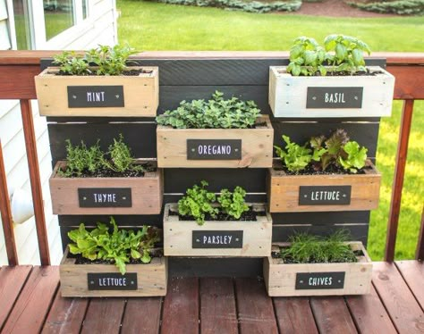 Herb Wall Planter – RUGGY DIY Herb Garden Wall, Herb Garden Planter, Outdoor Herb Garden, Herb Boxes, Herb Wall, Diy Herb Garden, Herb Garden Design, Vertical Herb Garden, Herb Planters