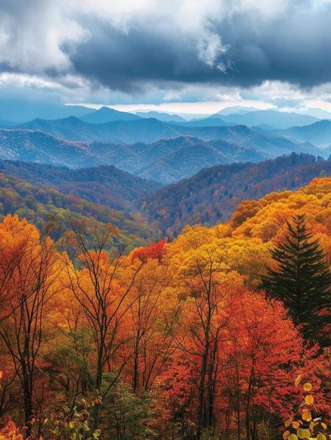 Mountains Tennessee, Smoky Mountains Tennessee, Pretty Landscapes, Autumn Scenes, Great Smoky Mountains National Park, Fall Time, Fall Pictures, Great Smoky Mountains, Fall Photos