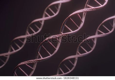 Find Set Human Dna Under Microscope 3d stock images in HD and millions of other royalty-free stock photos, illustrations and vectors in the Shutterstock collection. Thousands of new, high-quality pictures added every day. Under Microscope, Human Dna, Quality Pictures, 3d Illustration, Image Illustration, Stock Illustration, Royalty Free Stock Photos, Every Day, Royalty