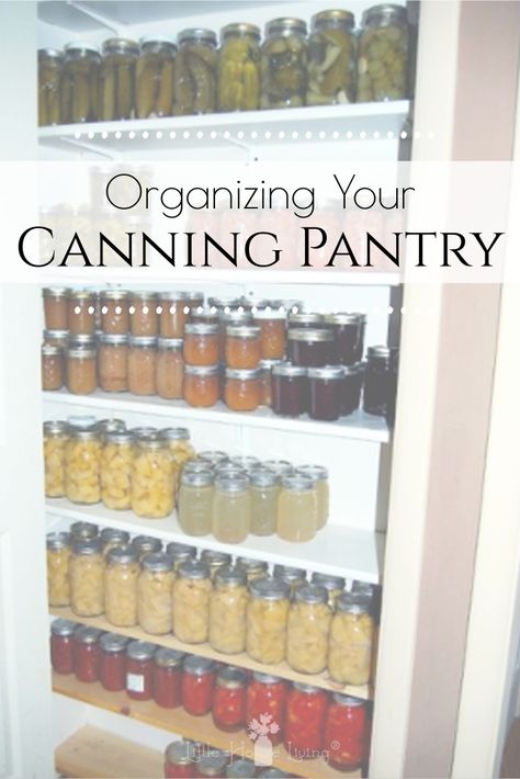 Canning Pantry Organization, Canning Shelf Ideas, Canning Pantry Storage, Canning Inventory, Apartment Homestead, Pantry Inventory Printable, Canning Pantry, Working Pantry, Canning Storage