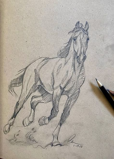 Horse Art Drawing, Horse Sketch, Animal Drawings Sketches, Drawing Faces, Horse Drawings, Horse Drawing, Art Drawings Sketches Creative, Animal Sketches, Arte Animal