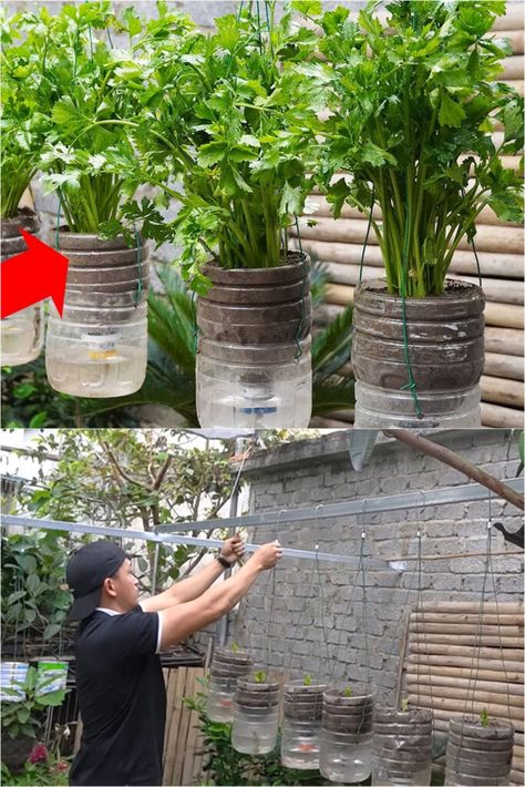 32 Best recycled plastic bottle ideas to reuse & make garden planters, self watering systems, upcycled crafts, DIY home decorations, etc! - A Piece of Rainbow, gardening, outdoor, summer, hanging planter, irrigation, sprinkler, kids activity, bird house Recycle Bottle Planters, Reuse Garden Ideas, Plastic Container Gardening, Plastic Jug Planters Diy, 5 Gallon Water Jug Ideas Diy Garden, Milk Jug Planter Ideas, Recycled Bottle Planters, Recycled Planters Upcycling, Water Bottle Planter Diy