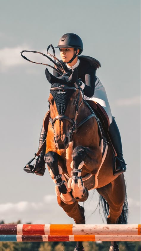 Horse Jumping Photography, Show Jumping Aesthetic, Showjumping Photography, Person Riding Horse, Equestrian Olympics, Horse Riding Photography, Showjumping Aesthetic, Jumping Aesthetic, Yard Aesthetic