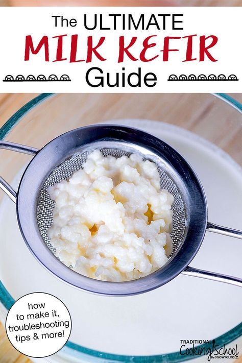 Fresh, tart, and effervescent, milk kefir is a living food teeming with beneficial bacteria and yeasts for gut health! This ultimate guide to all things dairy kefir will answer your burning questions — how to make it, which milk to use, what to do if it's too sour… plus troubleshooting and my 3 best culturing tips! #homemade #milk #kefir #milkkefir #dairykefir Kiefer Recipes, Milk Kefir Recipes, Yogurt Homemade, Milk Kefir Grains, Make Sour Cream, Kefir Yogurt, Homemade Milk, Coconut Milk Yogurt, Fermented Drinks