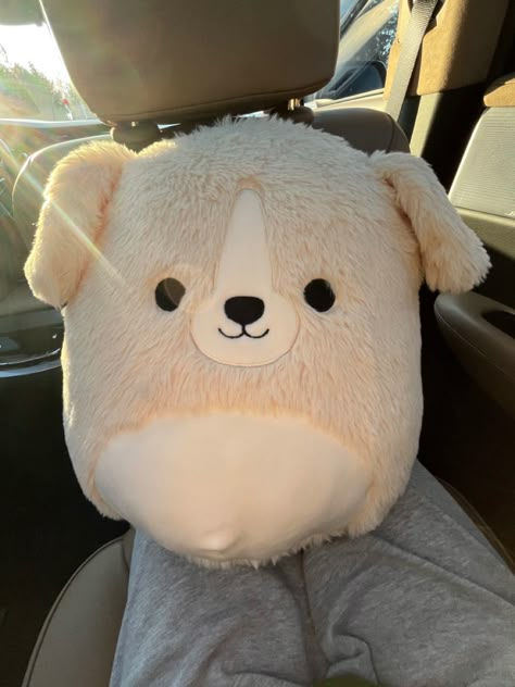 Squishmallows Big, Preppy Nirvana, Squishy Mellows, Dog Squishmallow, Squish Mallow, Squish Mellow, Squish Mallows, Jellycat Stuffed Animals, Cute Squishies