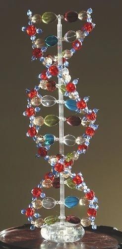 Dna Structure Model, Dna Beads, Dna Model Project, Dna E Rna, Homemade Beads, Nitrogenous Base, Dna Drawing, Model Office, Dna Project