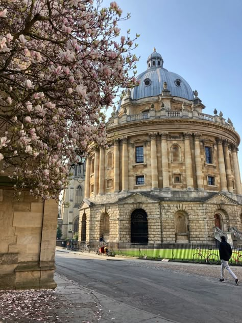 Oxford University Autumn, Oxford University Vision Board, Oriel College Oxford, Oxford College Aesthetic, New College Oxford, Oxford City Aesthetic, Oxford Uni Aesthetic, Oxbridge Aesthetic, University Of Oxford Aesthetic