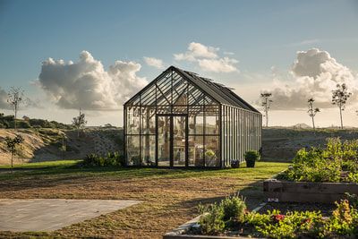 Architectural - The Glasshouse Company Australia Plant Installation, Shade House, Temporary Structures, Tree Sculpture, Edible Plants, Custom Glass, Green House, Garden Shop, Greenhouses