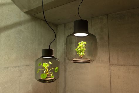 Let There be Plantlight! – Yanko Design Kitchen Light, Growing Plants Indoors, Glass Lamps, Deco Luminaire, Plant Lighting, German Design, Growing Indoors, Luz Natural, Mason Jar Lamp