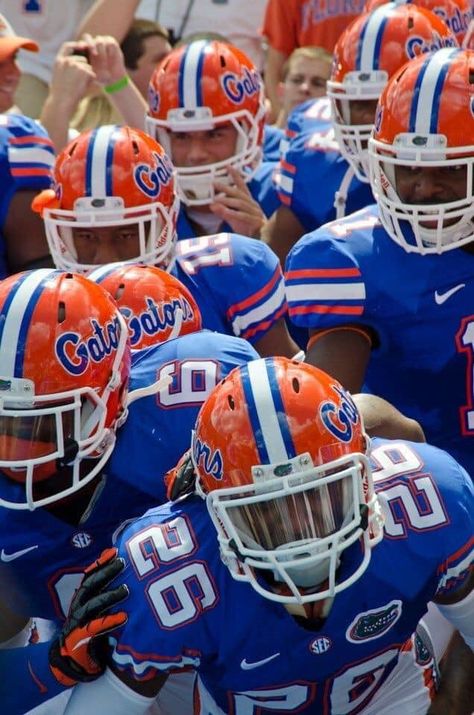 Uf Gator, Florida Gators Baseball, Gator Football, Soccer Images, Uf Gators, Florida Football, Florida Gators Football, Chomp Chomp, Tailgate Gear